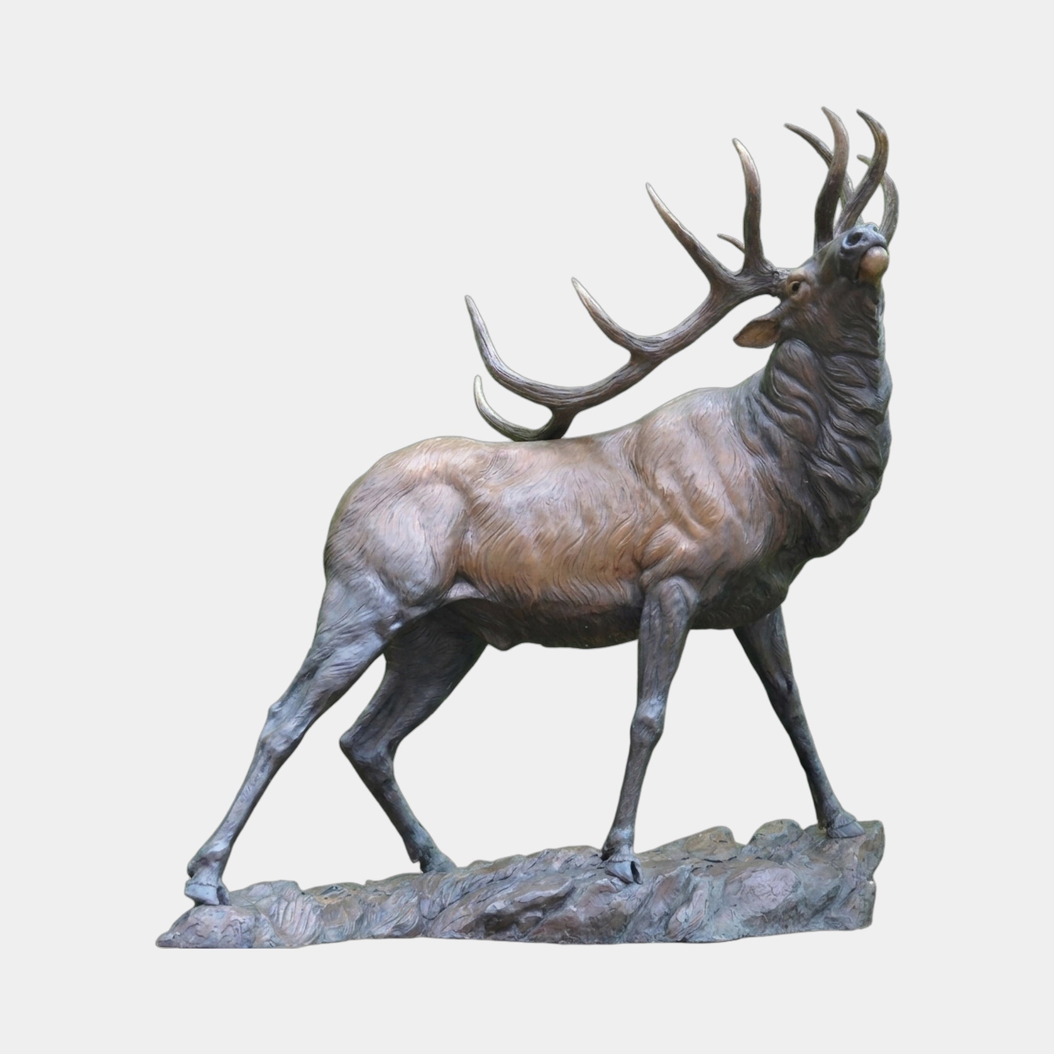 Life-Size Bugling Bull Elk Bronze Sculpture by Giant Sculptures shown in side view with raised head, swept-back antlers, and warm brown patina on a rocky base.