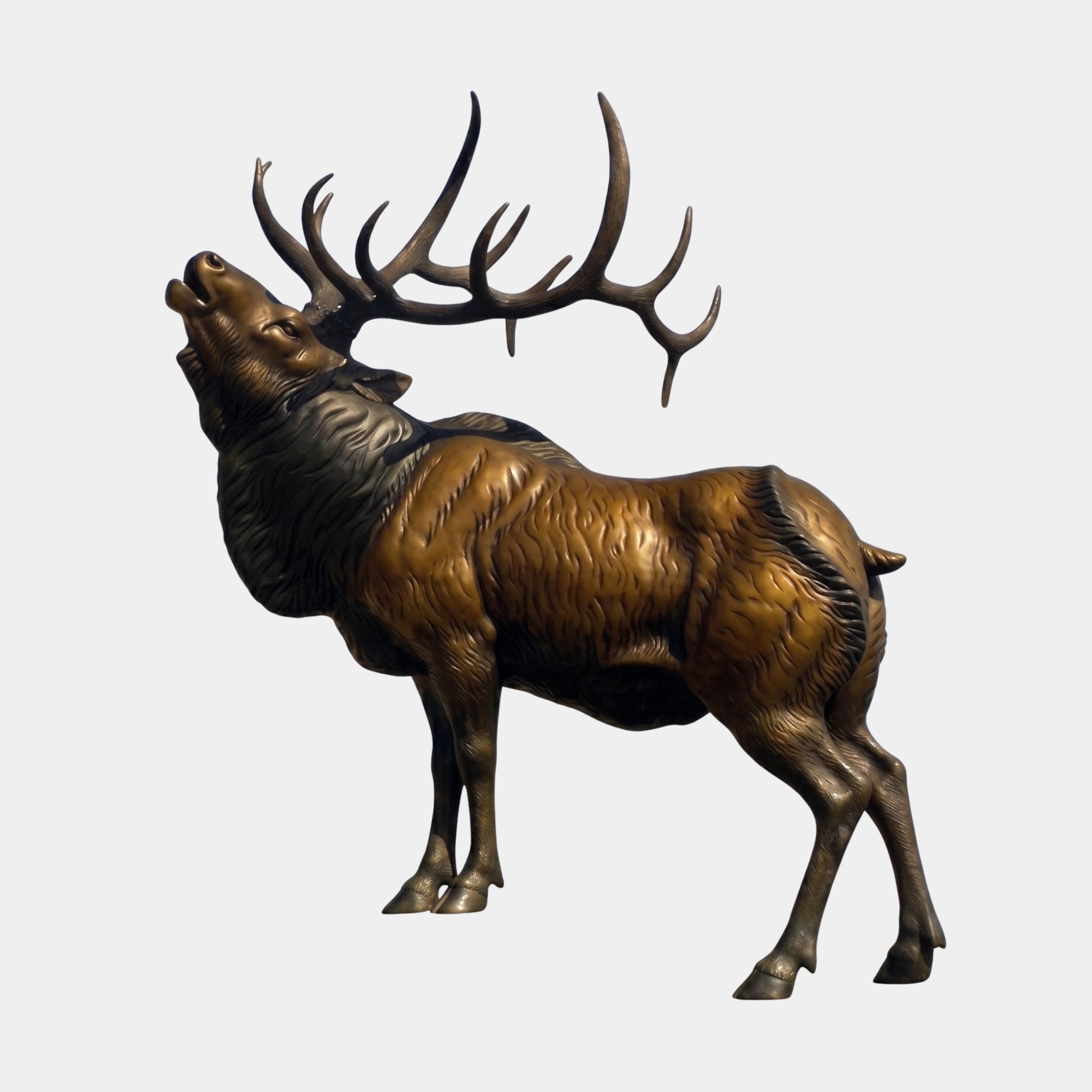 Life-Size Bugling Bull Elk Bronze Sculpture by Giant Sculptures shown in side profile with head raised mid-call and broad antlers, warm brown patina, plain background.
