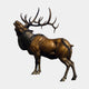 Life-Size Bugling Bull Elk Bronze Sculpture by Giant Sculptures shown in side profile with head raised mid-call and broad antlers, warm brown patina, plain background.