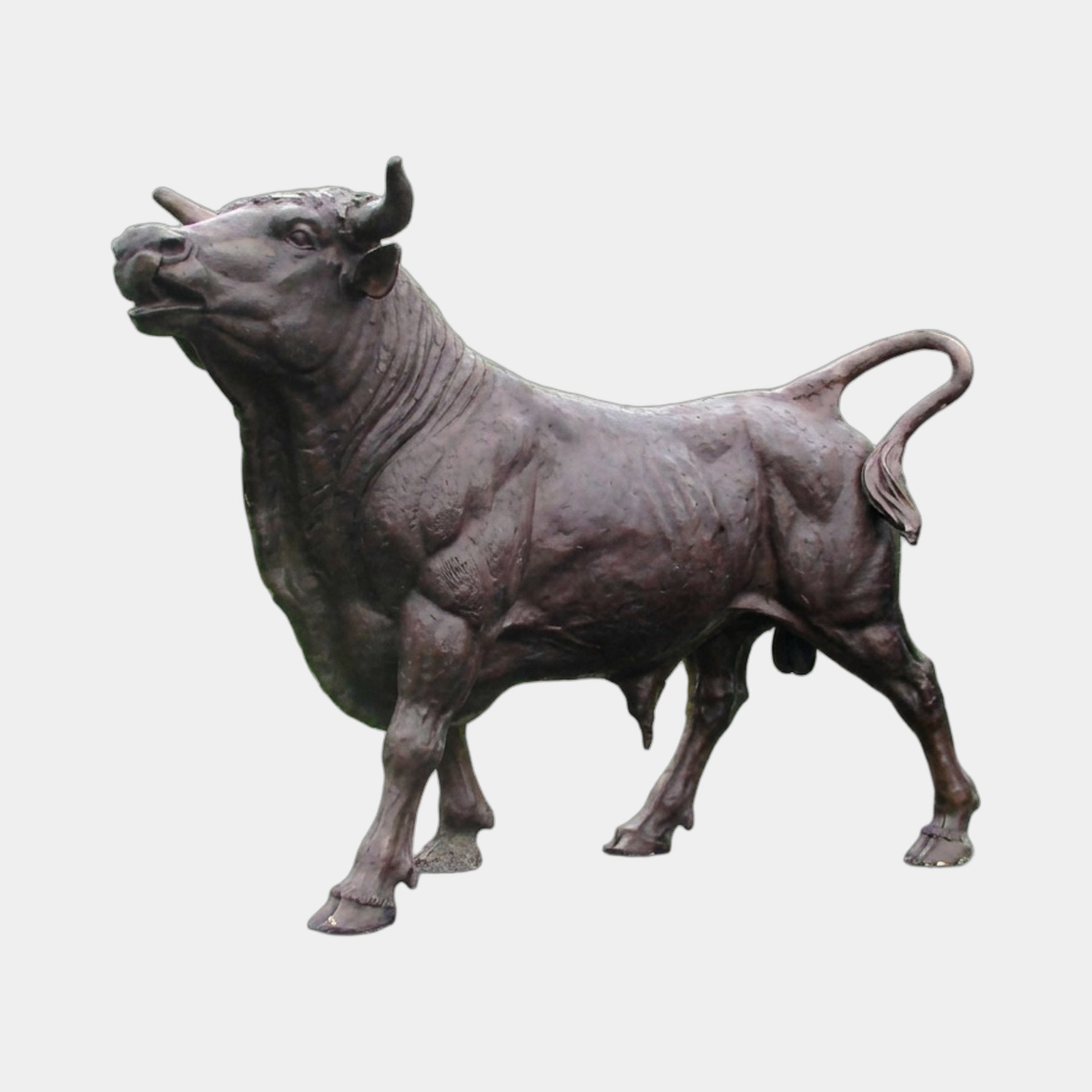 Life-Size Charging Bull Bronze Sculpture by Giant Sculptures, 210cm, shown in side profile with head raised, dark brown patina, on a plain light background.
