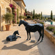 Life-Size Classical Mare and Foal Bronze Sculpture by Giant Sculptures in dark patina on a stone terrace beside a villa, lavender beds, and pool.