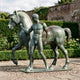 Giant Sculptures Life-Size Classical Nude Male Figure and Horse Bronze Sculpture in verdigris patina, shown on paving beside hedging and hydrangeas.