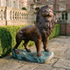 Life-Size Classical Roaring Male Lion Bronze Sculpture by Giant Sculptures, shown on a verdigris rocky base on stone paving beside a balustrade and hedging.
