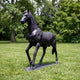 Life-Size Classical Trotting Horse Bronze Sculpture by Giant Sculptures shown on grass with raised right foreleg, dark patina finish, and trees behind.
