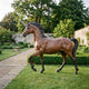 Life-Size Classical Walking Unicorn Bronze Sculpture by Giant Sculptures in reddish-brown patina with pale spiral horn, mid-stride on a manicured walled garden lawn.