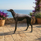Life-Size Contemporary Greyhound Bronze Sculpture by Giant Sculptures with dark patina, standing alert on a stone terrace beside potted bougainvillea overlooking the sea.
