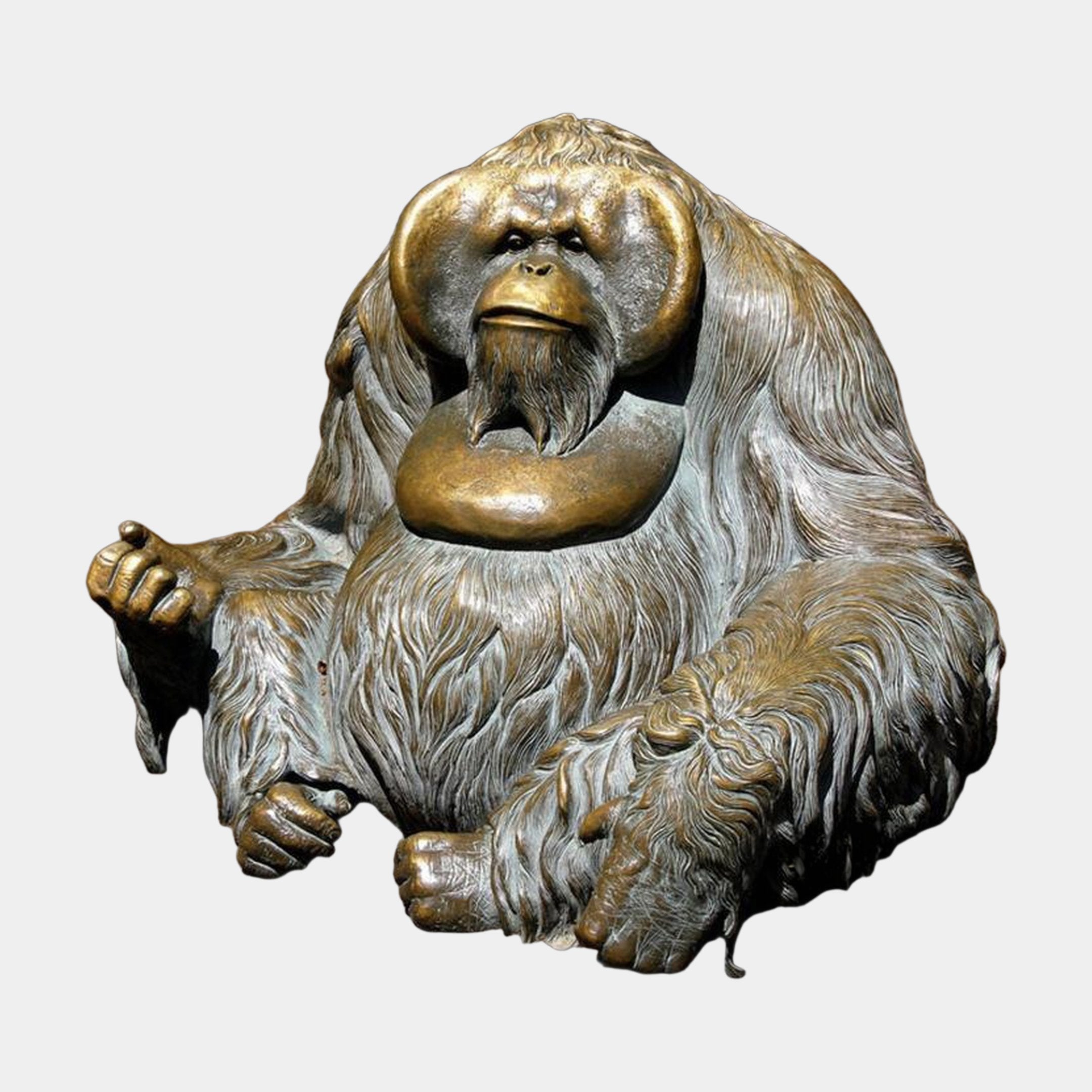 Life-Size Contemporary Orangutan Bronze Bust by Giant Sculptures, seated pose with arms folded, warm gold and grey-brown patina, shown on a plain background.