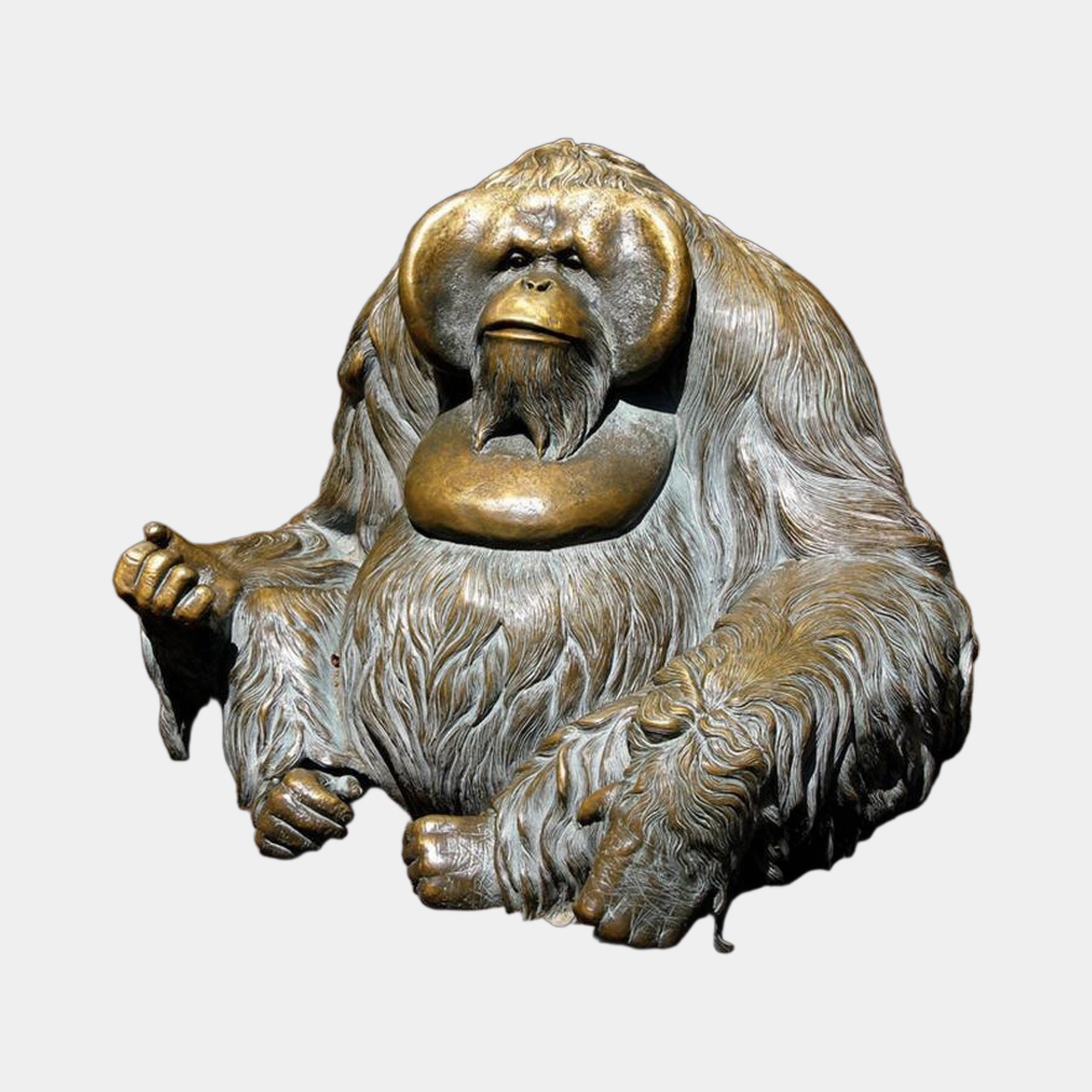 Life-Size Contemporary Seated Orangutan Bronze Sculpture by Giant Sculptures, front view showing golden cheek flanges and dark patinated shaggy fur, on plain background.