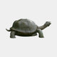 Life-Size Giant Tortoise Bronze Sculpture by Giant Sculptures shown in side profile with neck extended and head raised, dark brown-green patina, plain background.