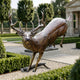 Life-Size Leaping Whitetail Buck Bronze Sculpture by Giant Sculptures in mid-leap with wide antlers, displayed on gravel in a formal hedged garden.
