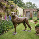 Life-Size Standing Cheetah Bronze Sculpture by Giant Sculptures in polychrome gold and black spotted finish, displayed on lawn beside foxgloves in a walled garden.