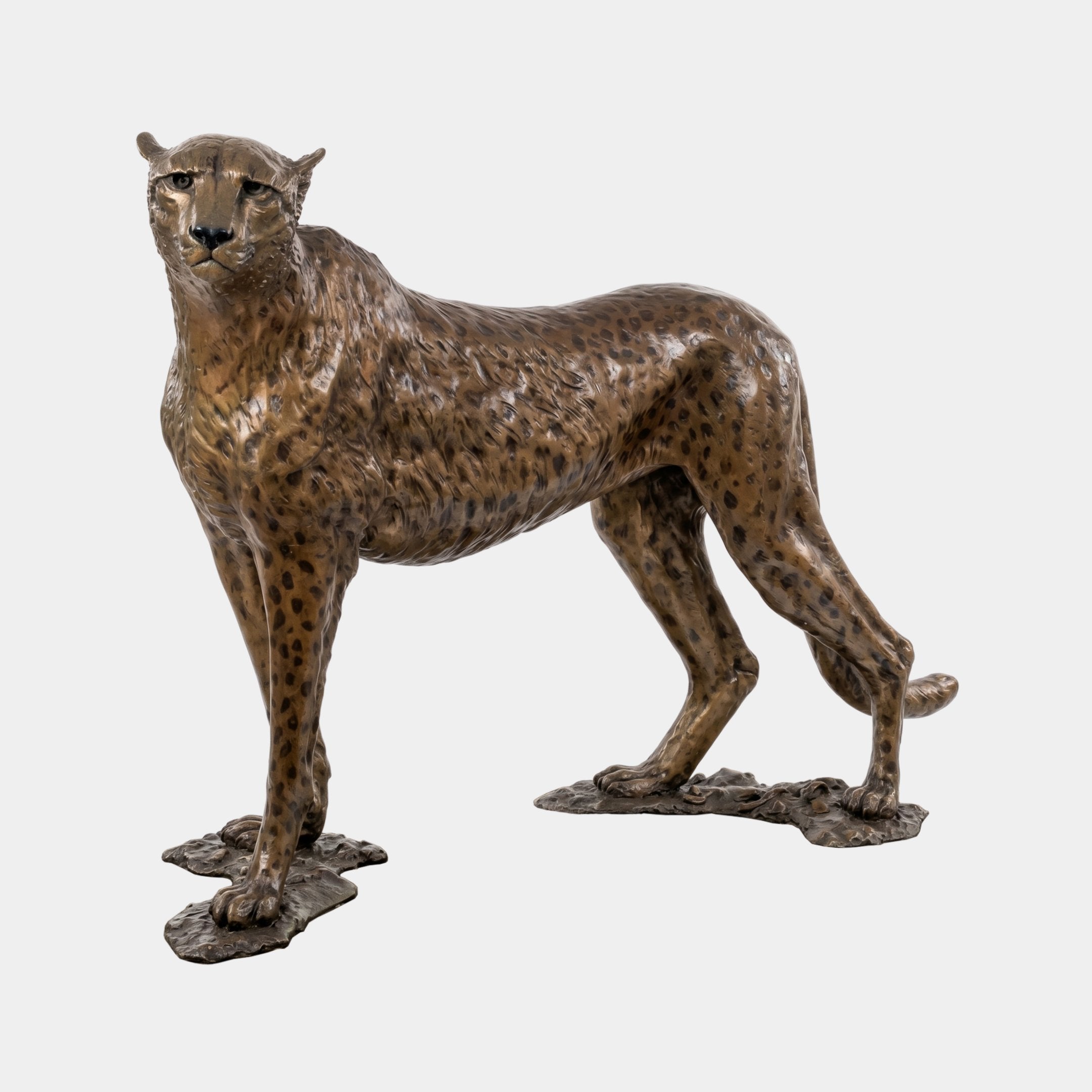 Life-Size Standing Cheetah Bronze Sculpture by Giant Sculptures in polychrome gold and black spotted finish, shown front-facing on a textured base against a plain background.