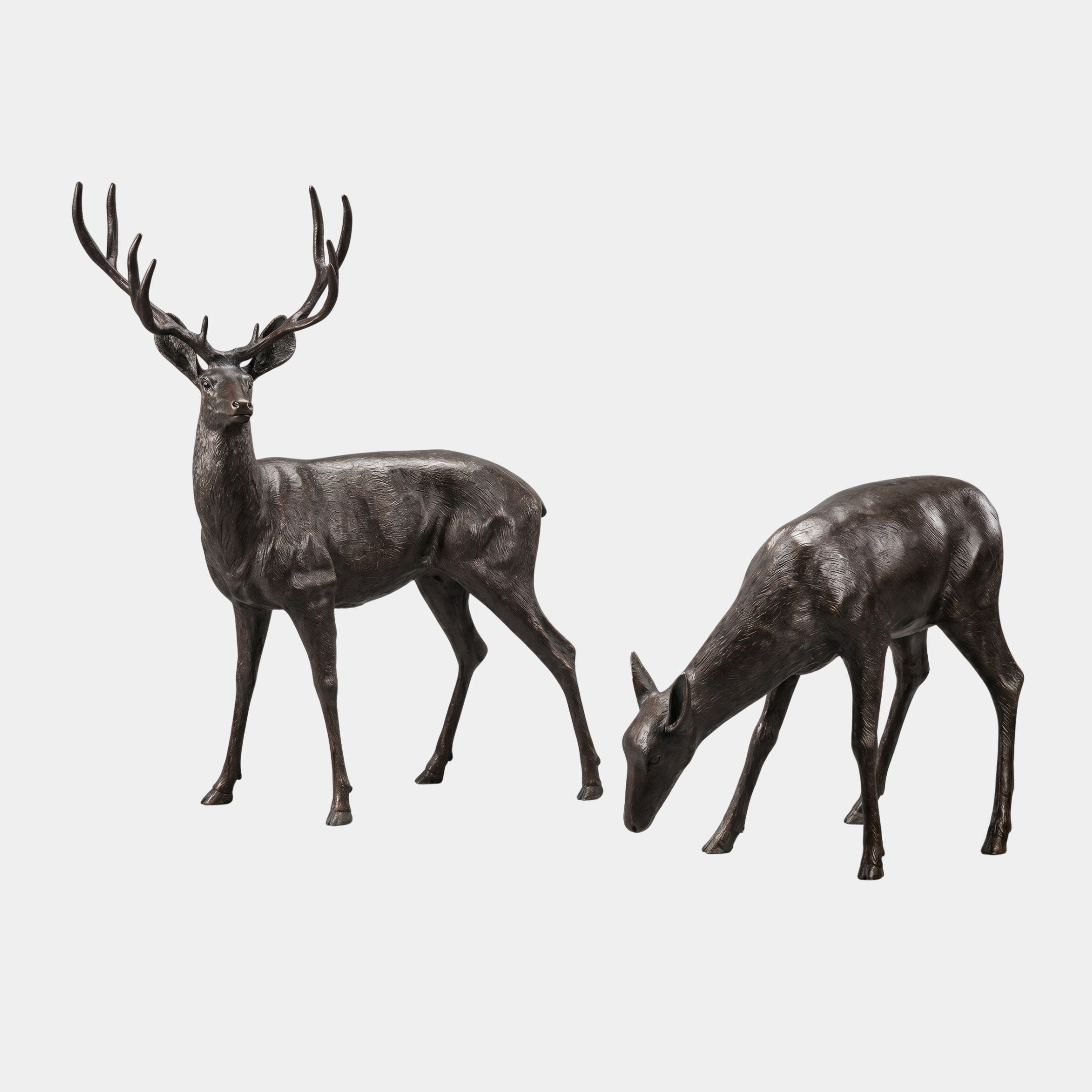 Life-Size Standing Stag and Grazing Doe Bronze Sculpture by Giant Sculptures, shown in dark brown patina with the antlered stag alert and the doe lowered to graze.