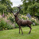 Life-Size Standing Stag Bronze Sculpture by Giant Sculptures displayed on a lawn beside a flower border of roses, foxgloves, and delphiniums, antlers fully spread.