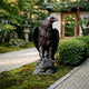 Life-Size Traditional Bald Eagle Bronze Sculpture by Giant Sculptures, wings partially raised on a rocky base, displayed on moss in a Japanese garden path.