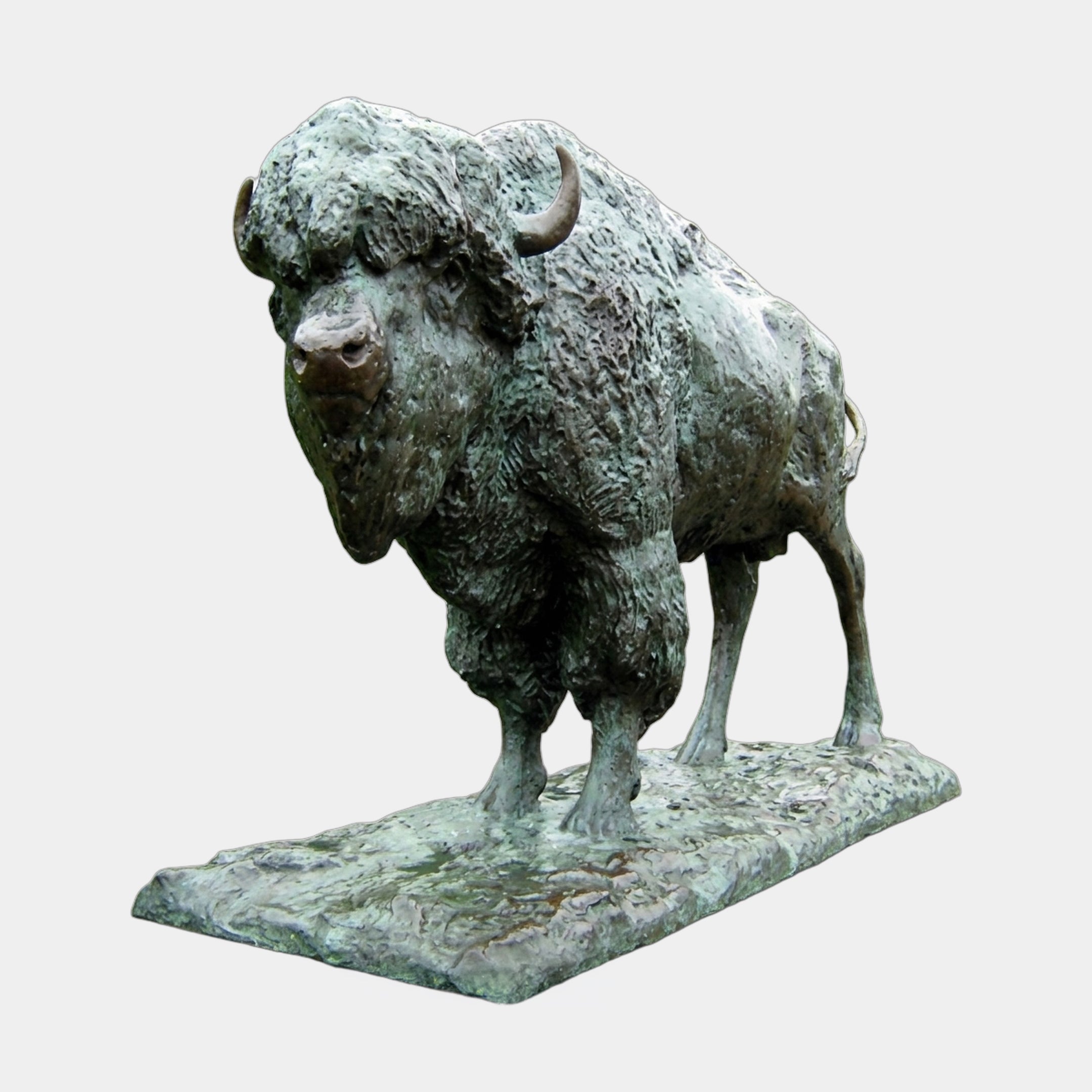 Life-Size Traditional Bison Bronze Sculpture by Giant Sculptures shown in three-quarter front view with verdigris patina, lowered head, and integral rectangular base.