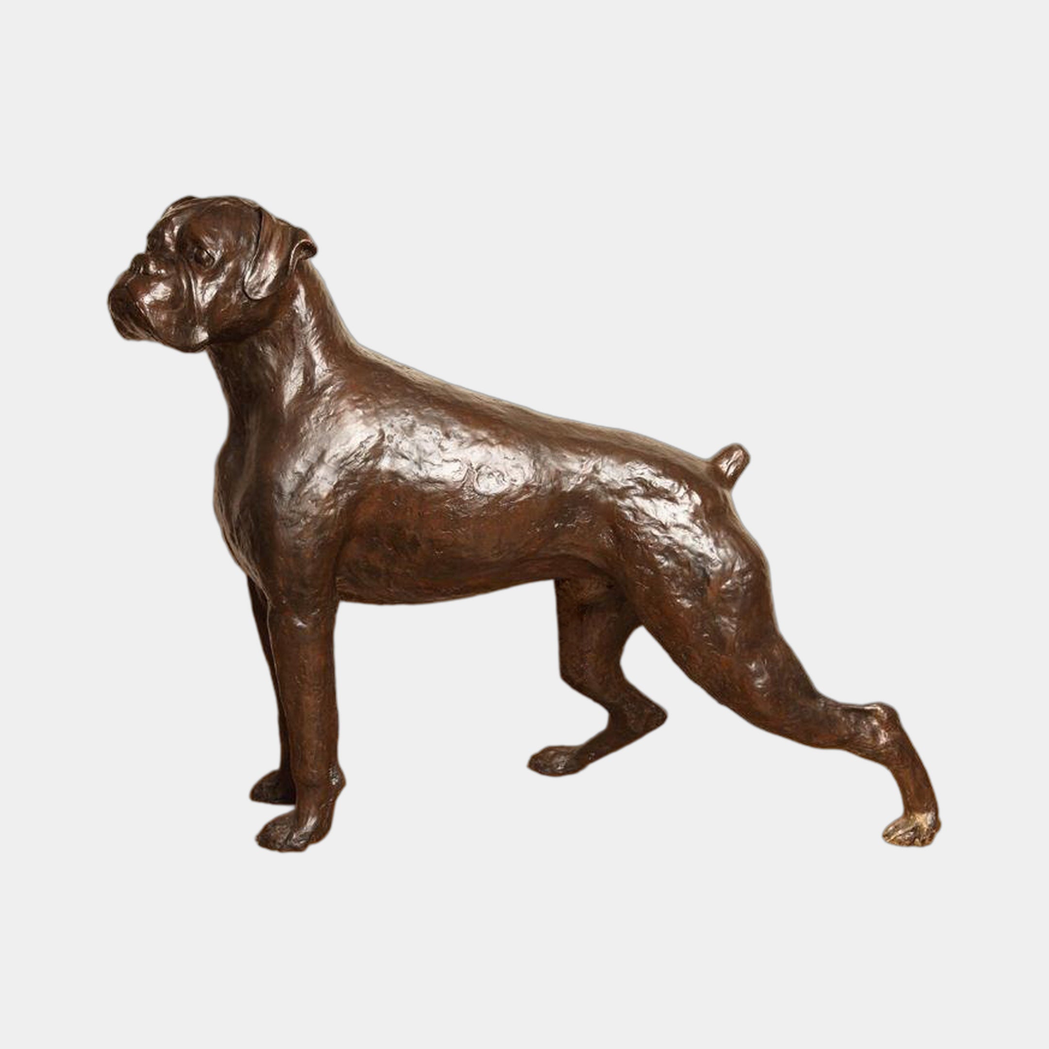 Life-Size Traditional Boxer Dog Bronze Sculpture by Giant Sculptures, 80cm, shown in side profile with dark brown patina against a plain light background.