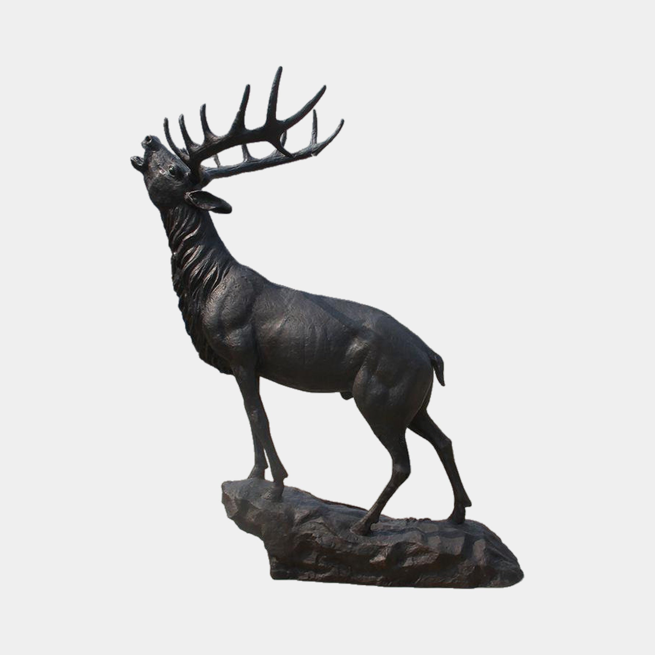 Life-Size Traditional Bugling Bull Elk Bronze Sculpture by Giant Sculptures, 220cm, head raised mid-call with wide antlers, on a rocky base against plain background.