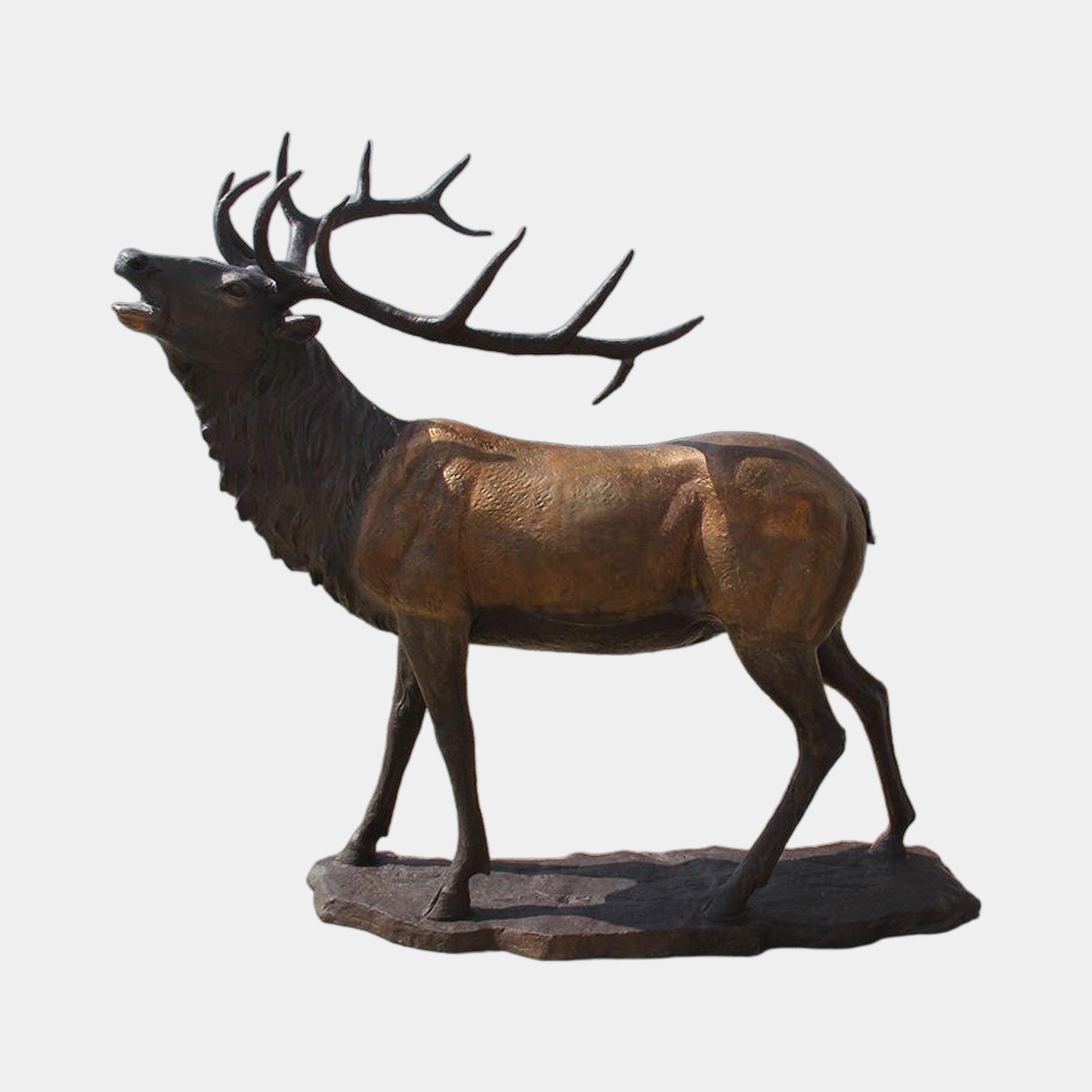 Side view of Giant Sculptures' Life-Size Traditional Bugling Bull Elk Bronze Sculpture 260cm, head raised mid-bugle with wide antlers, warm brown patina, on a rocky base.