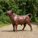 Life-Size Traditional Bull Bronze Sculpture by Giant Sculptures shown side-on with raised head and curled tail, reddish-brown patina, displayed on gravel near trees.