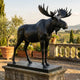 Life-Size Traditional Bull Moose Bronze Sculpture by Giant Sculptures in matte black patina on a granite plinth, displayed on a Tuscan terrace overlooking vineyards.