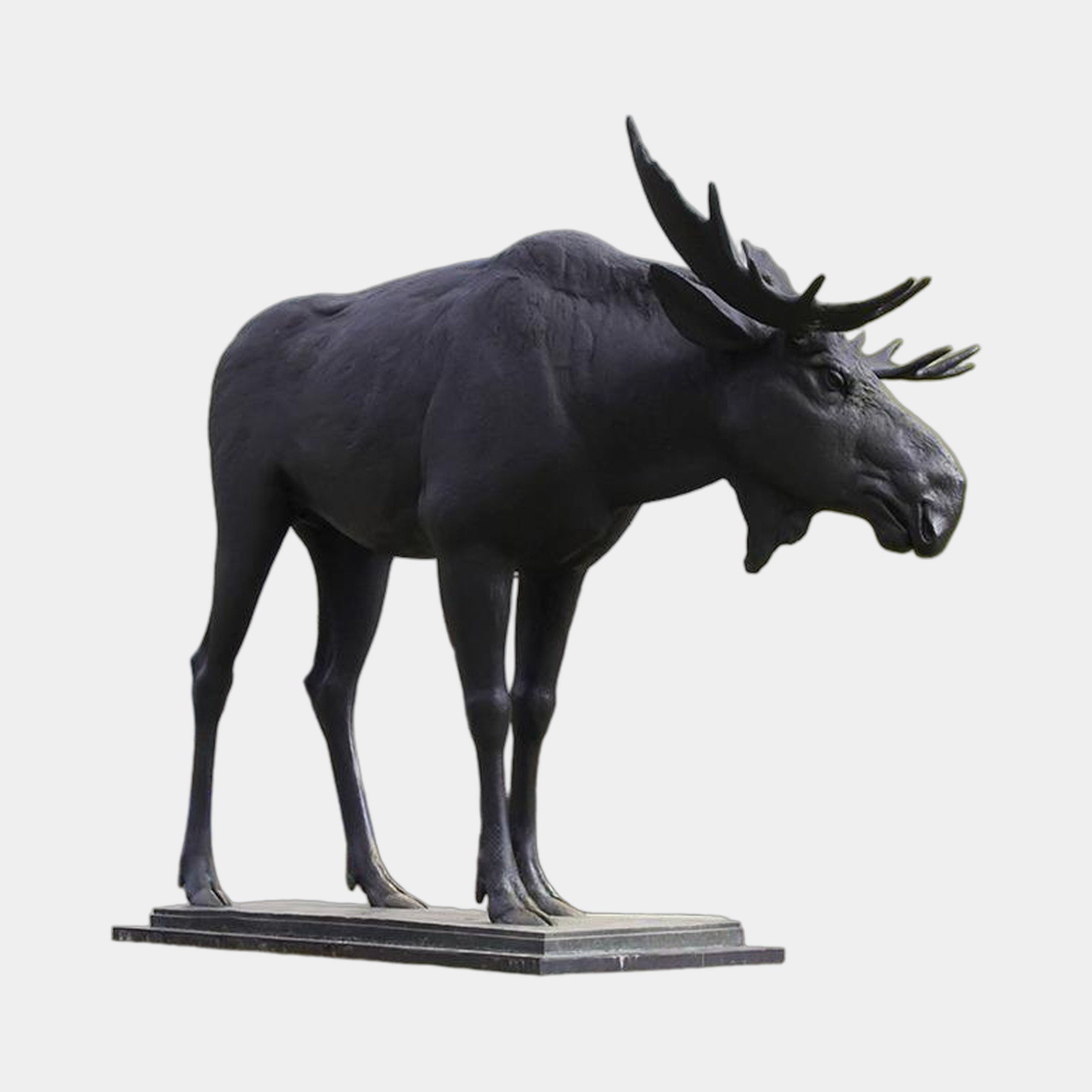 Life-Size Traditional Bull Moose Bronze Sculpture by Giant Sculptures in matte black patina, side view on a stepped granite plinth against a plain background.