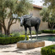 Life-Size Traditional Bull Moose Bronze Sculpture by Giant Sculptures with black-brown patina on a stone plinth in a Mediterranean courtyard beside a pool.