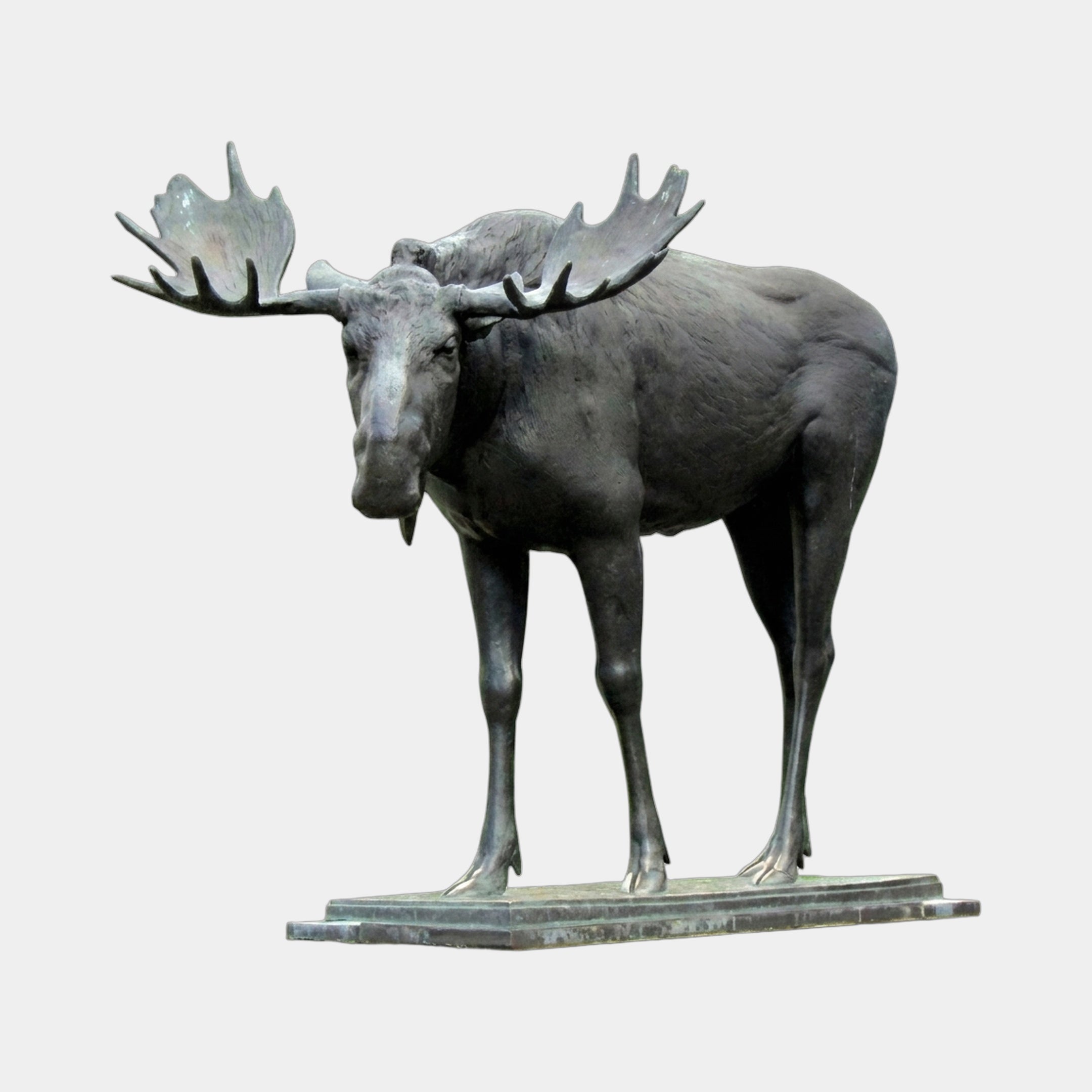 Life-Size Traditional Bull Moose Bronze Sculpture by Giant Sculptures, front view with wide palmate antlers and black-brown patina on a flat rectangular plinth.