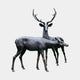 Life-Size Traditional Deer Pair Bronze Sculpture by Giant Sculptures, showing an antlered stag standing alert behind a head-lowered doe in dark patina, on a plain background.
