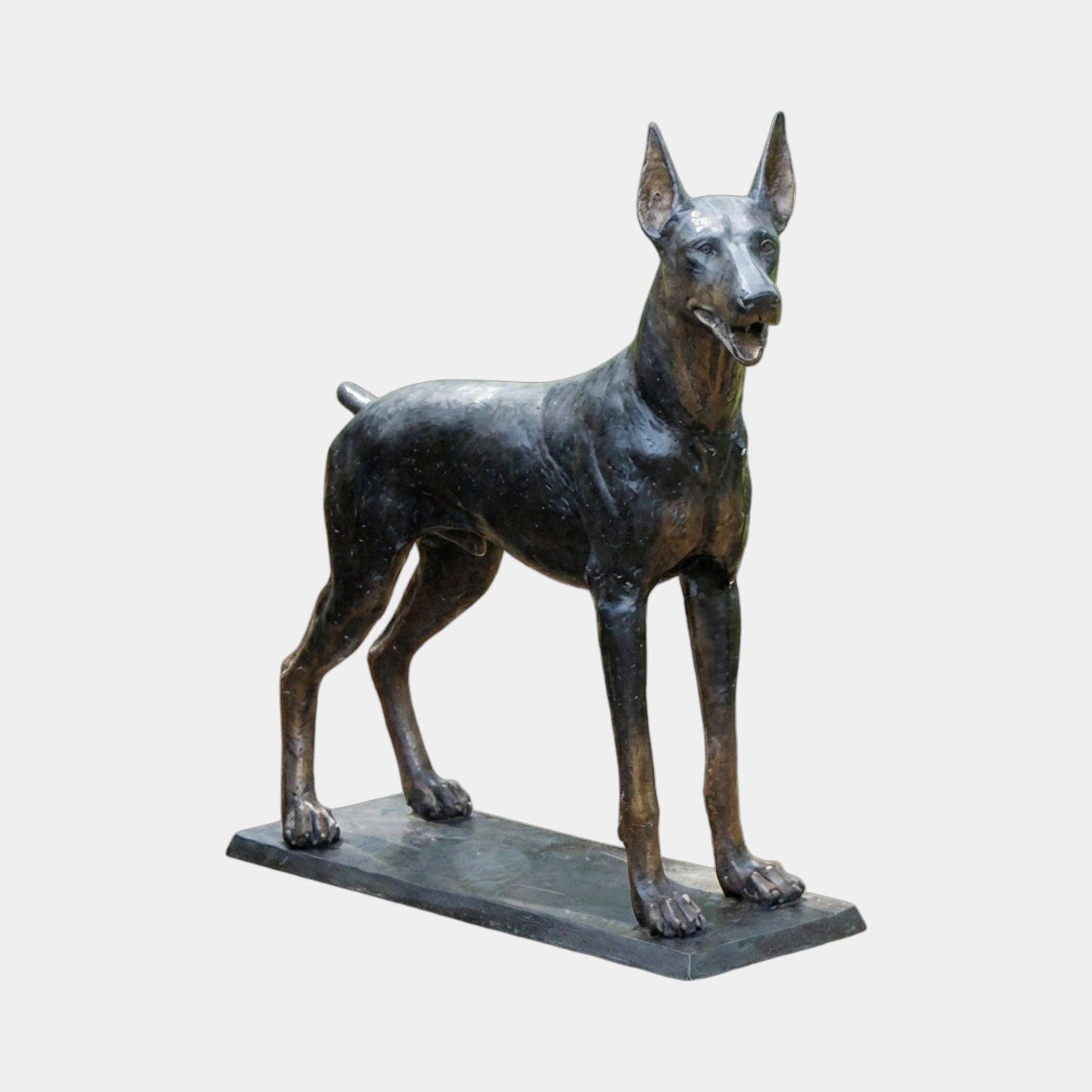 Life-Size Traditional Doberman Pinscher Bronze Sculpture by Giant Sculptures, standing four-square on a flat base with dark patina and warm bronze highlights.