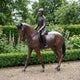 Giant Sculptures Life-Size Traditional Female Equestrian Rider and Horse Bronze Sculpture in warm brown patina, displayed on gravel beside a clipped hedge and flowers.