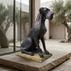 Life-Size Traditional Great Dane Dog Bronze Sculpture by Giant Sculptures in dark patina, seated on a stone base in a stone courtyard with olive trees.