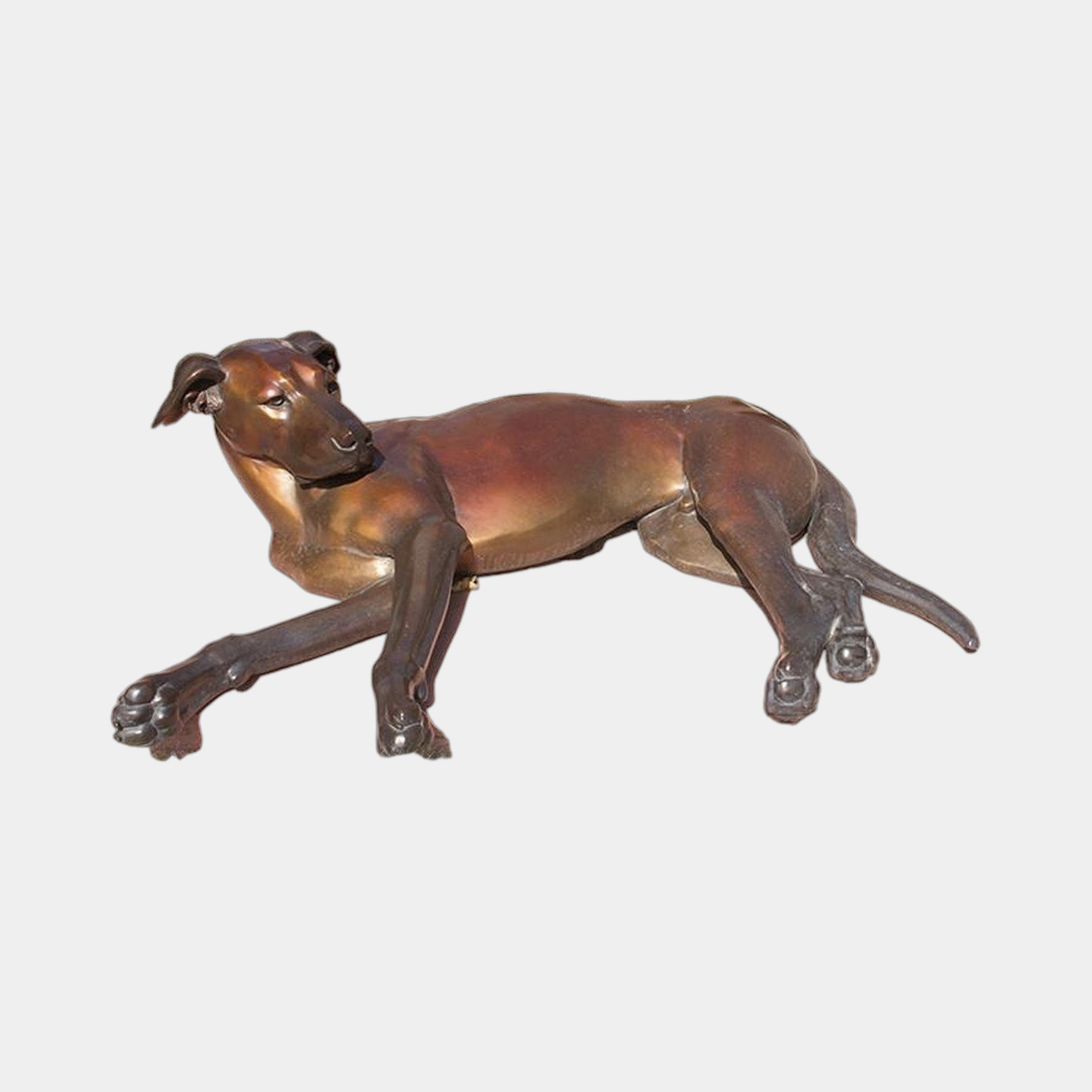 Life-Size Traditional Greyhound Bronze Sculpture by Giant Sculptures, shown reclining with front legs stretched forward and head raised, warm brown patina, plain background.
