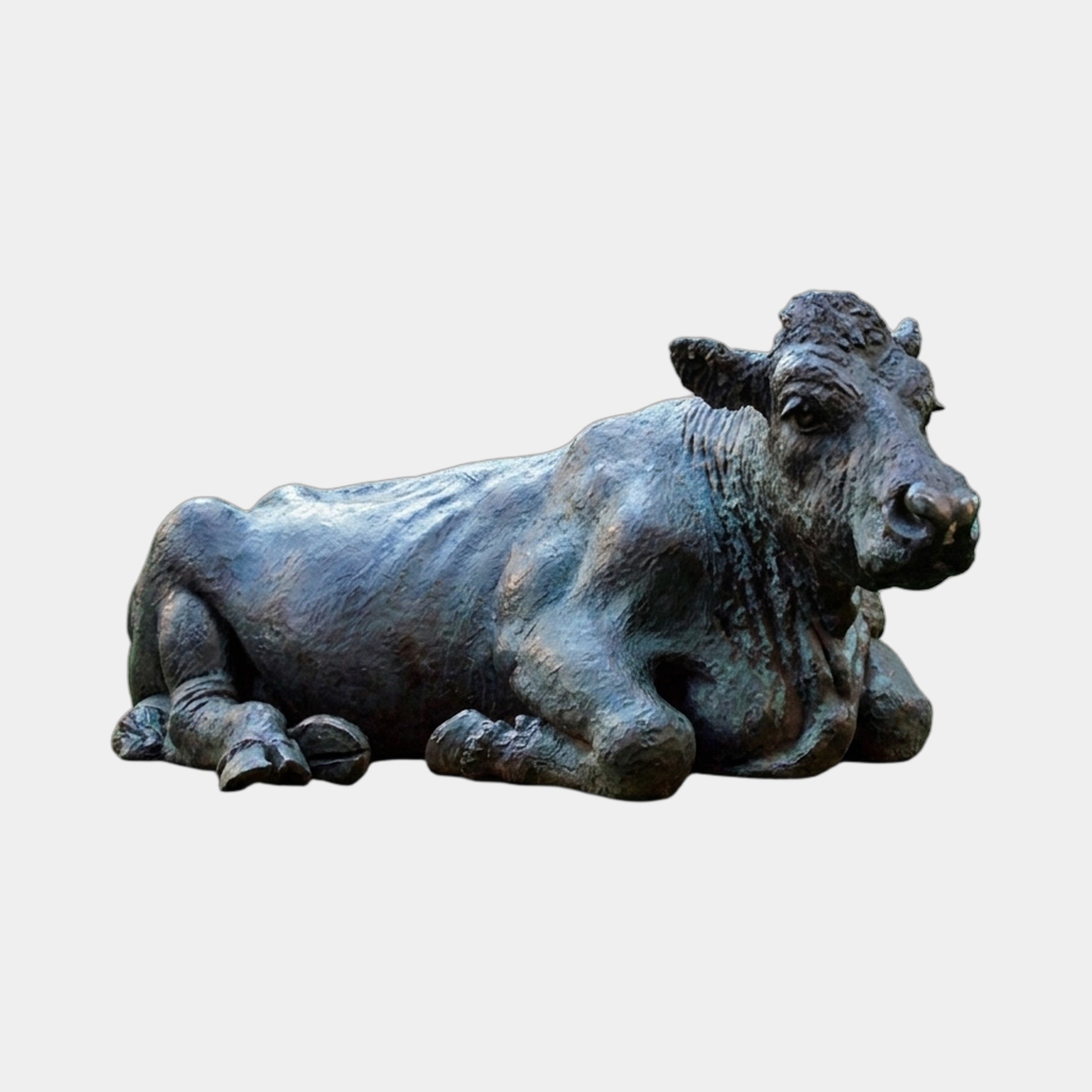 Life-Size Traditional Reclining Cow and Calf Bronze Sculpture by Giant Sculptures, shown reclining with head raised, dark verdigris patina, on plain background.