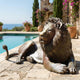 Life-Size Traditional Reclining Lion Bronze Sculpture by Giant Sculptures, 150cm, shown beside a sunlit poolside terrace with terracotta pots and sea view.