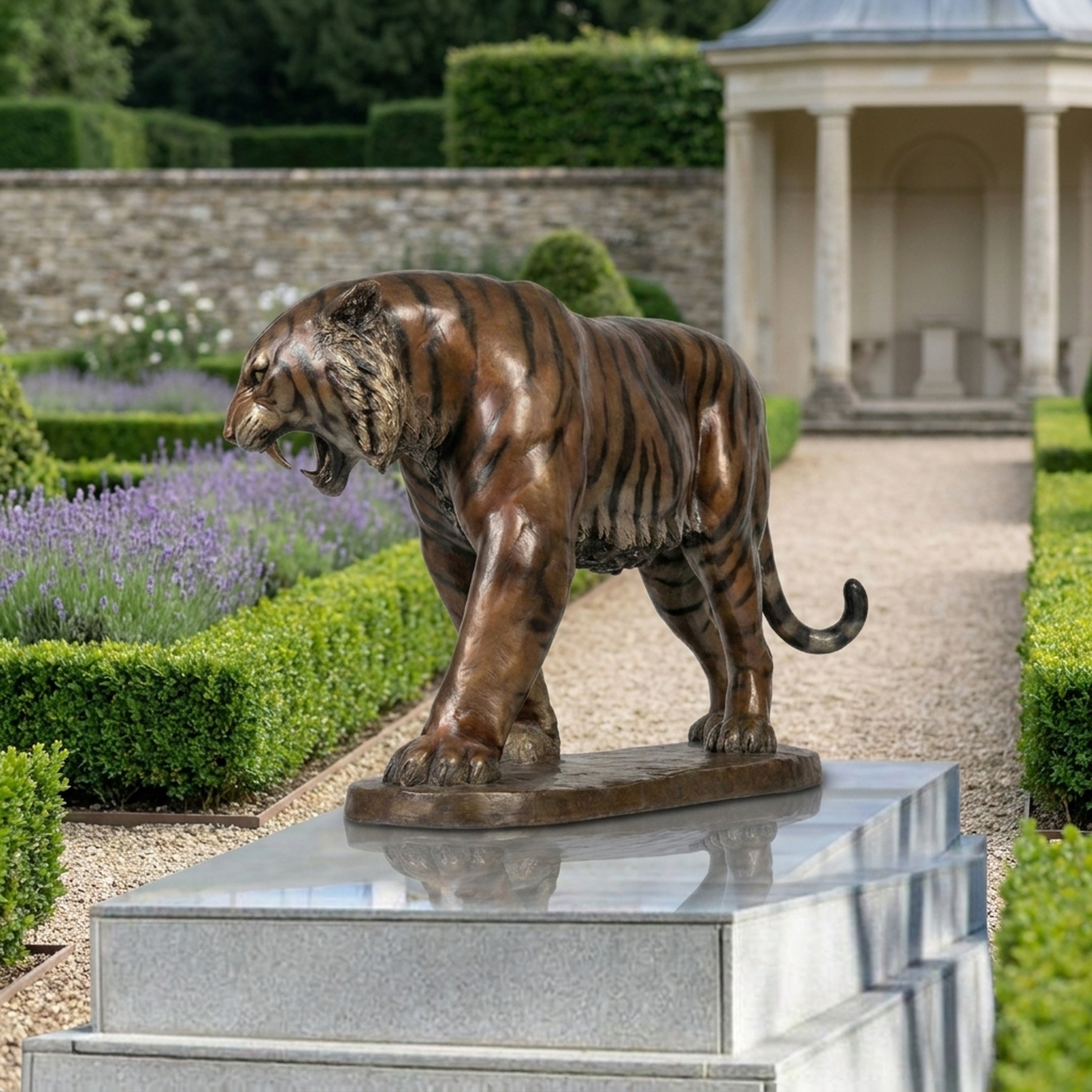Life-Size Traditional Roaring Tiger Bronze Sculpture by Giant Sculptures, shown side-on with open jaw on a granite plinth in a formal lavender garden.