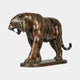 Life-Size Traditional Roaring Tiger Bronze Sculpture 220cm by Giant Sculptures, side view with open jaw and striped brown patina, on an oval base.