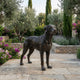 Life-Size Traditional Rottweiler Dog Bronze Sculpture by Giant Sculptures shown on a stone terrace with olive trees, cypresses, lavender and pink bougainvillea.