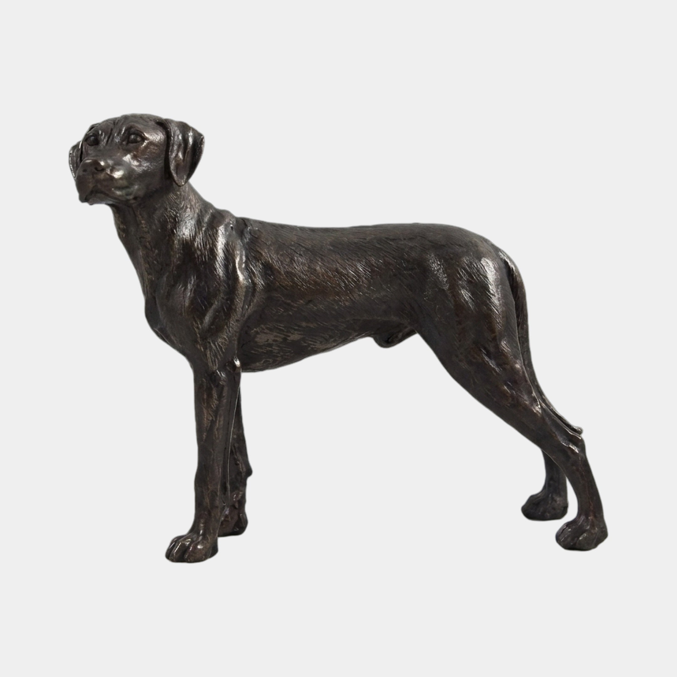 Life-Size Traditional Rottweiler Dog Bronze Sculpture by Giant Sculptures, shown in side profile with dark brown-black patina against a plain white background.