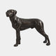 Life-Size Traditional Rottweiler Dog Bronze Sculpture by Giant Sculptures, shown in side profile with dark brown-black patina against a plain white background.
