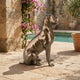 Life-Size Traditional Seated Boxer Dog Bronze Sculpture by Giant Sculptures displayed on a stone terrace beside a pool, with bougainvillea and an olive tree nearby.