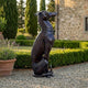 Life-Size Traditional Seated Greyhound Bronze Sculpture by Giant Sculptures with dark patina and collar, displayed on gravel beside lavender in a formal garden.