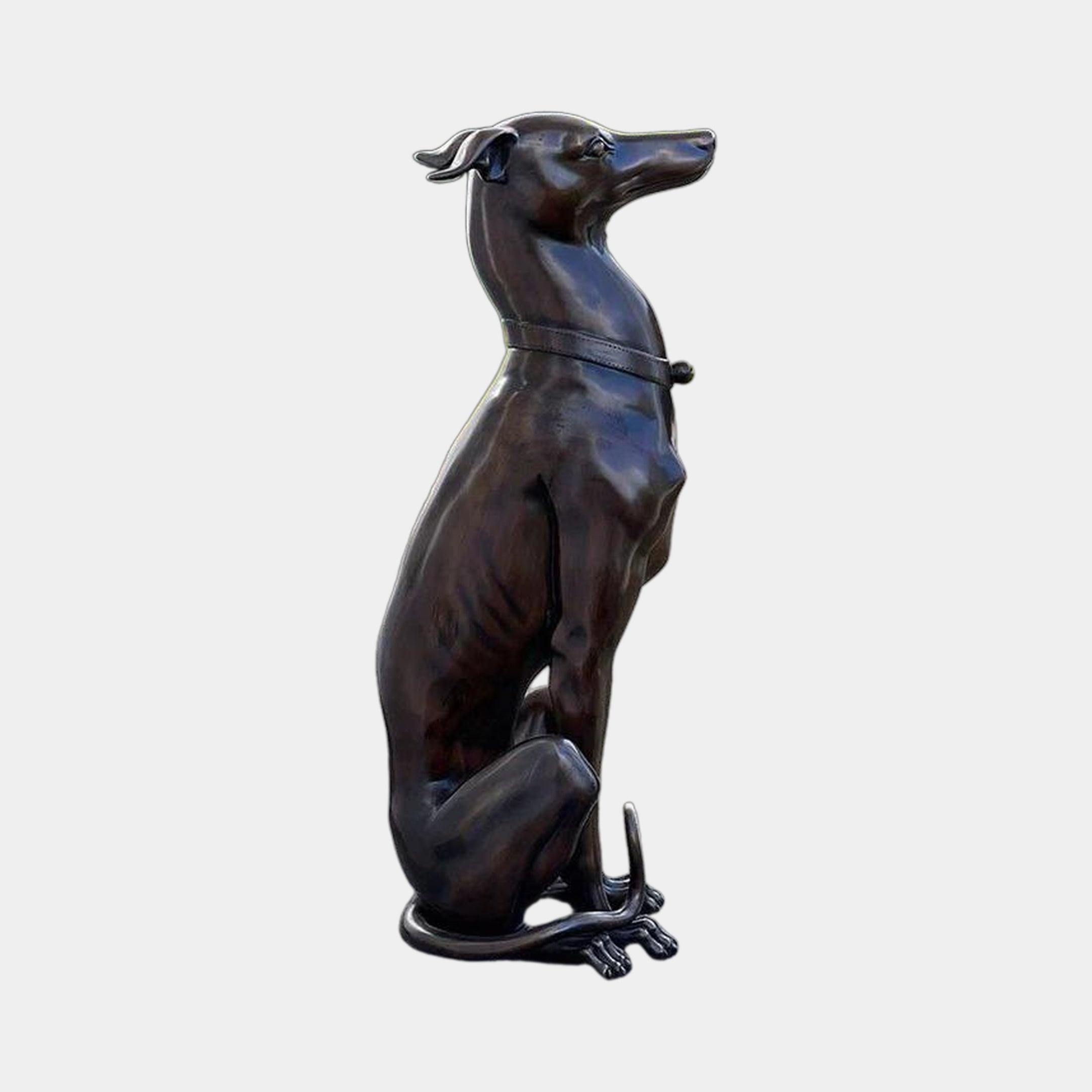Giant Sculptures Life-Size Traditional Seated Greyhound Bronze Sculpture, 100cm, side profile with raised head and sculpted collar, on a plain background.