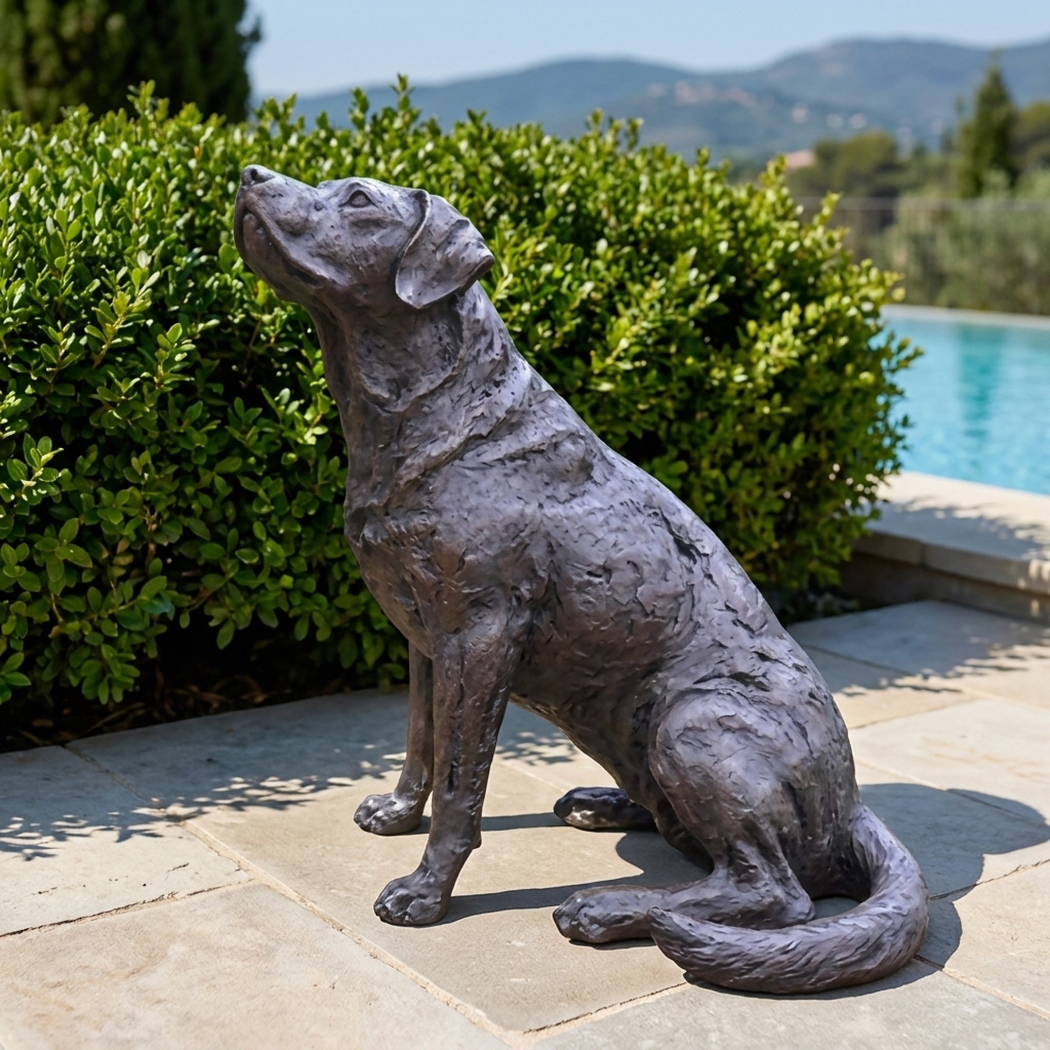 Life-Size Traditional Seated Labrador Bronze Sculpture from Giant Sculptures with dark patina, shown seated on a patio beside hedges and a pool.
