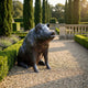 Life-Size Traditional Seated Pig Bronze Sculpture by Giant Sculptures with dark patina, displayed on a gravel path in a formal garden with cypress trees.