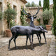 Life-Size Traditional Stag and Doe Deer Bronze Sculpture in dark patina on gravel, with stag standing tall and doe grazing beside a stone villa garden.