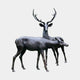 Life-Size Traditional Stag and Doe Deer Bronze Sculpture by Giant Sculptures, dark patinated pair with antlered stag standing behind a grazing doe on a plain background.