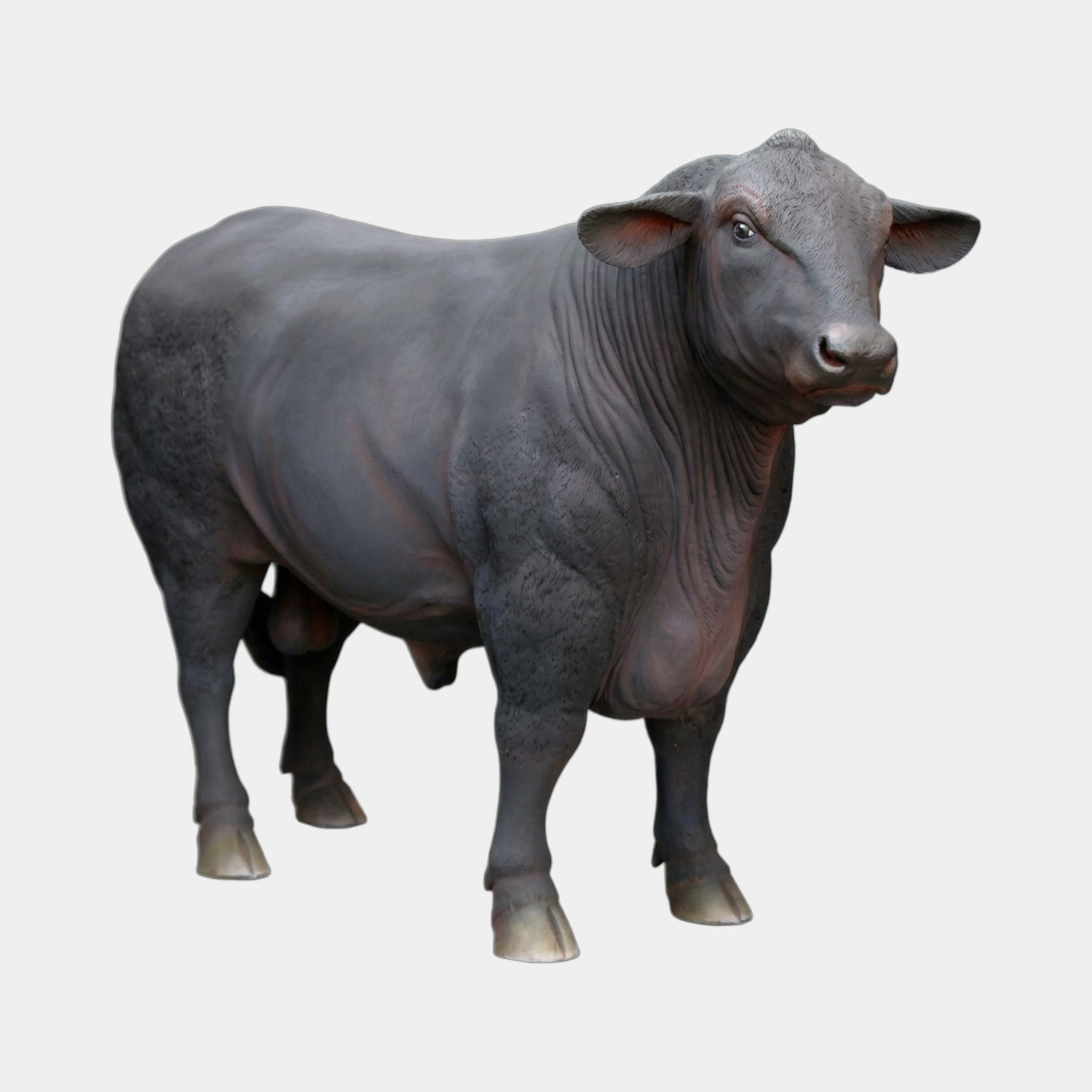 Giant Sculptures Life-Size Traditional Standing Bull Bronze Sculpture 170cm in dark patina with head turned toward viewer, shown against a plain light background.