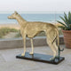 Life-Size Traditional Standing Greyhound Bronze Sculpture by Giant Sculptures in golden patina on a black plinth, displayed on a seaside terrace beside an agave.