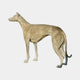 Life-Size Traditional Standing Greyhound Bronze Sculpture by Giant Sculptures shown in side profile with warm golden patina against a plain background.